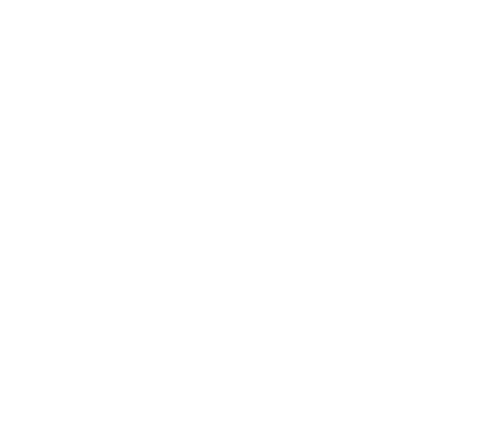 Devusol AI Solutions & Mobile App Development